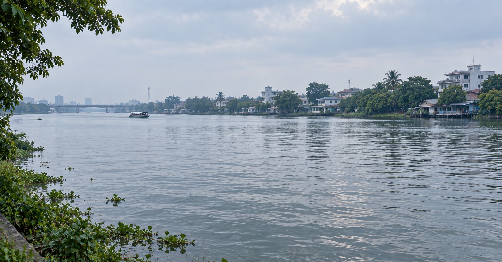 ภาพประกอบแม่น้ำในเมืองและแนวต้นไม้ริมฝั่ง โทนสีน้ำเงินเทา